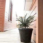Aparthotel Housing - Bergelandsgata 13