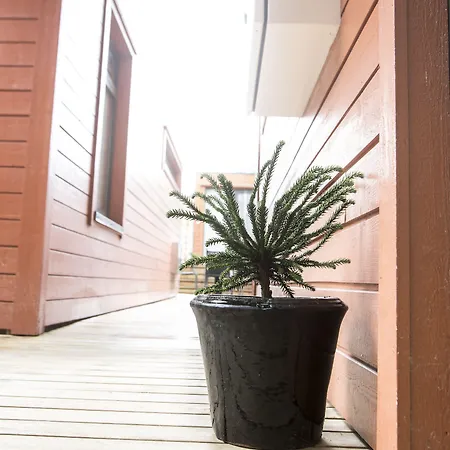 Apart-hotel Housing - Bergelandsgata 13